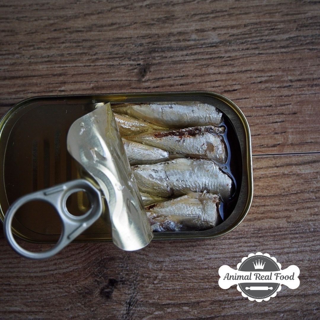 Sardinha Enlatada