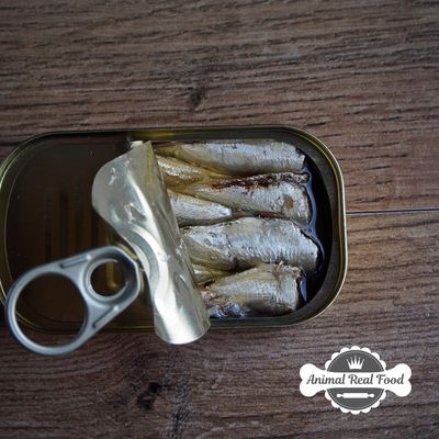 Sardinha Enlatada
