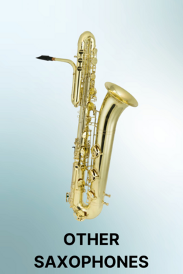 Other Saxophone Reeds