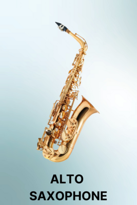 Alto Saxophone Reeds