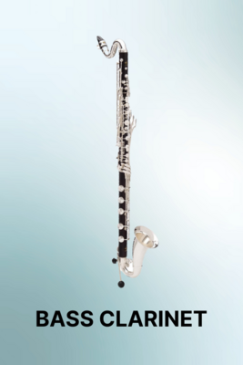 Bass Clarinet Reeds