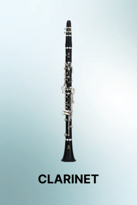 Bb Clarinet Reeds