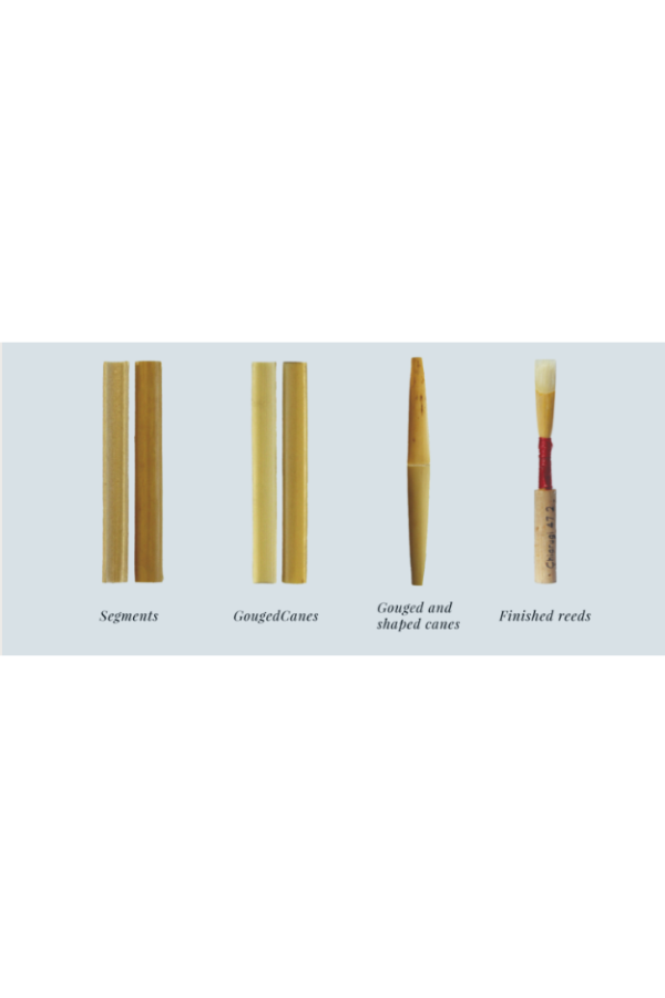 Gonzalez Oboe Reed Making Cane