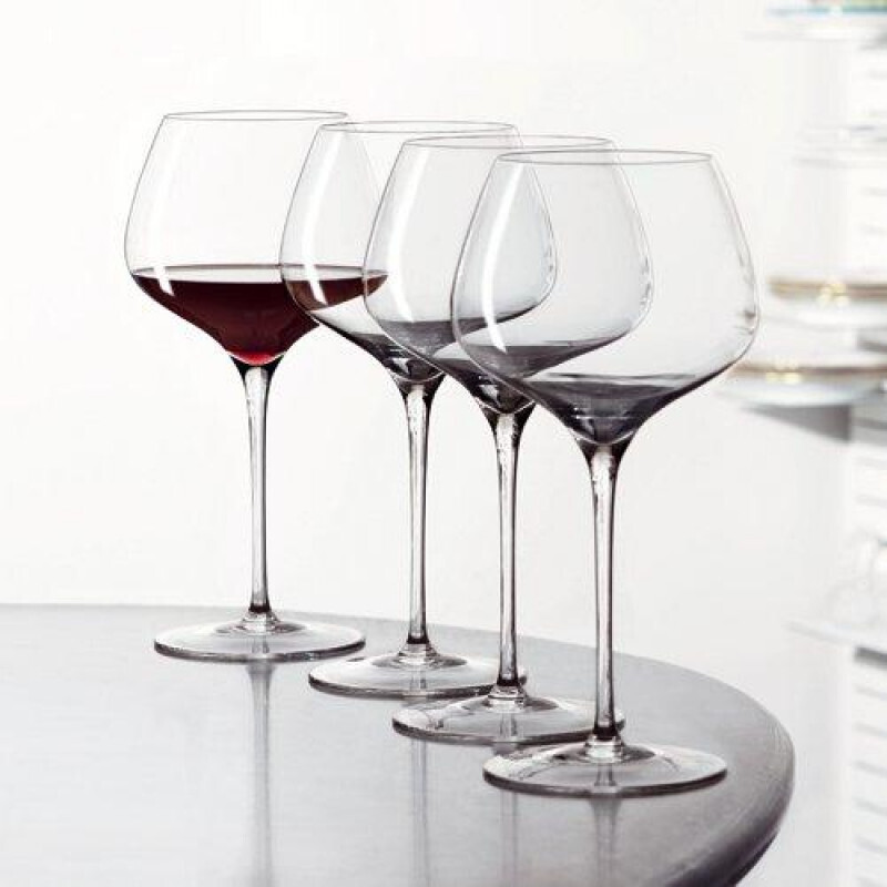 Spiegelau Willsberger Anniversary Burgundy Set 4 pieces