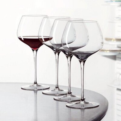 Spiegelau Willsberger Anniversary Burgundy Set 4 pieces