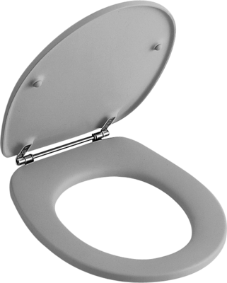 Villeroy &amp; Boch O.novo Toilet seat and cover  White Alpin