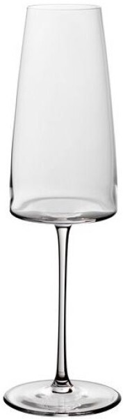 Villeroy &amp; Boch Signature MetroChic champagne flute set 2 pieces
