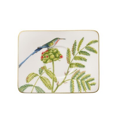 Villeroy &amp; Boch Amazonia coffee cup saucer 17 x 14 cm