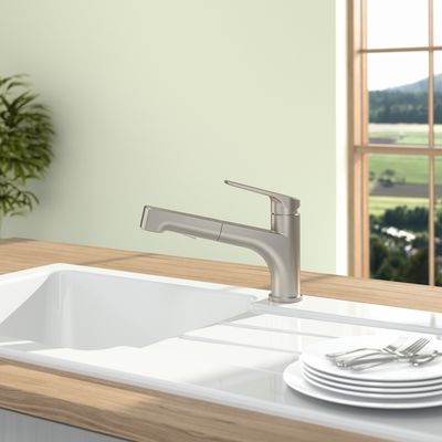 Villeroy &amp; Boch Junis Shower Kitchen tap, Solid stainless steel