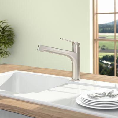Villeroy &amp; Boch Junis Sky Shower Kitchen tap, Solid stainless steel