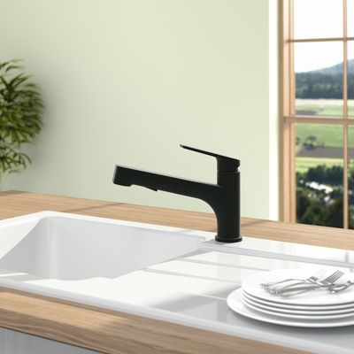 Villeroy &amp; Boch Junis Shower Kitchen tap, Matt Black