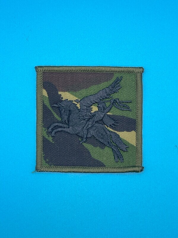 DPM 16 Brigade Combat Team Flash