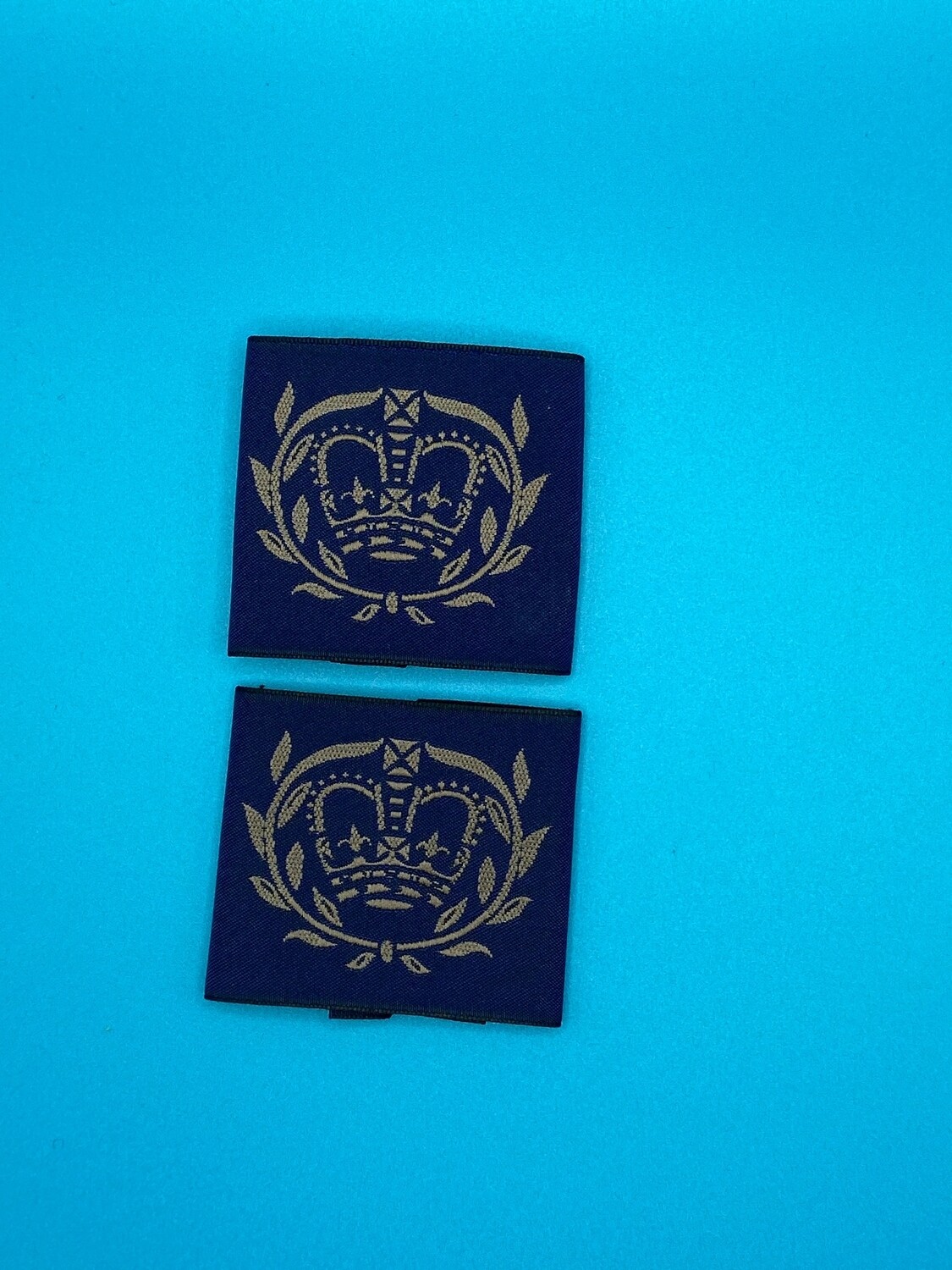 RAF Air Cadets RAFAC Warrant Officer (Cadet WO) Rank Slides