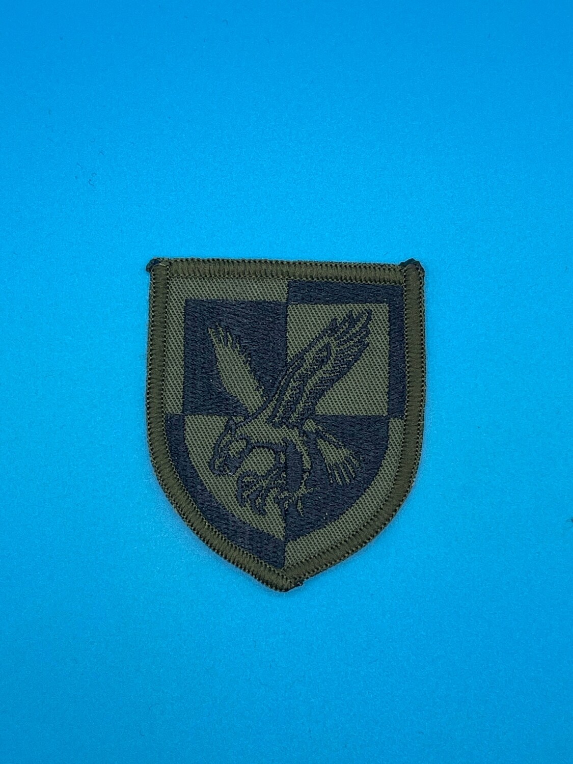 16 Brigade Combat Team - 16X - Olive Green