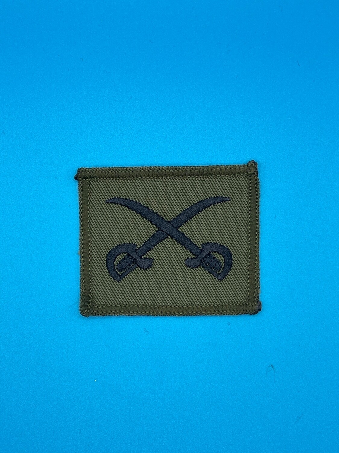 Army PTI Physical Training Instructor Badge - Olive Green OG