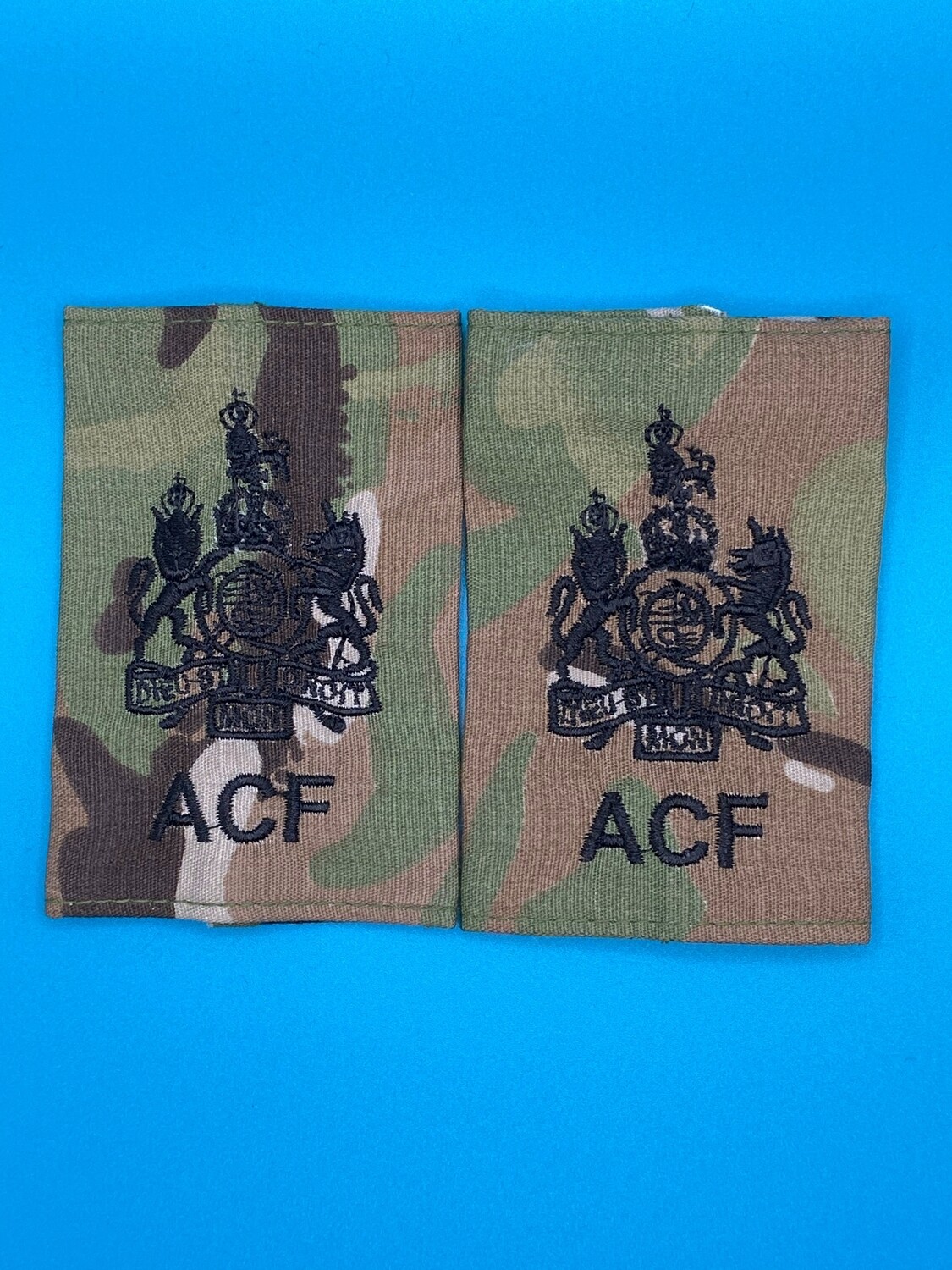 CIIIR MTP ACF Rank Slides - Regimental Sergeant Major Instructor RSMI RSM WO1