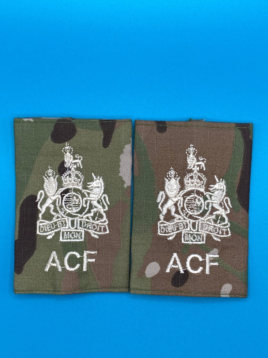 CIIIR MTP ACF Rank Slides - Regimental Sergeant Major Instructor RSMI RSM WO1