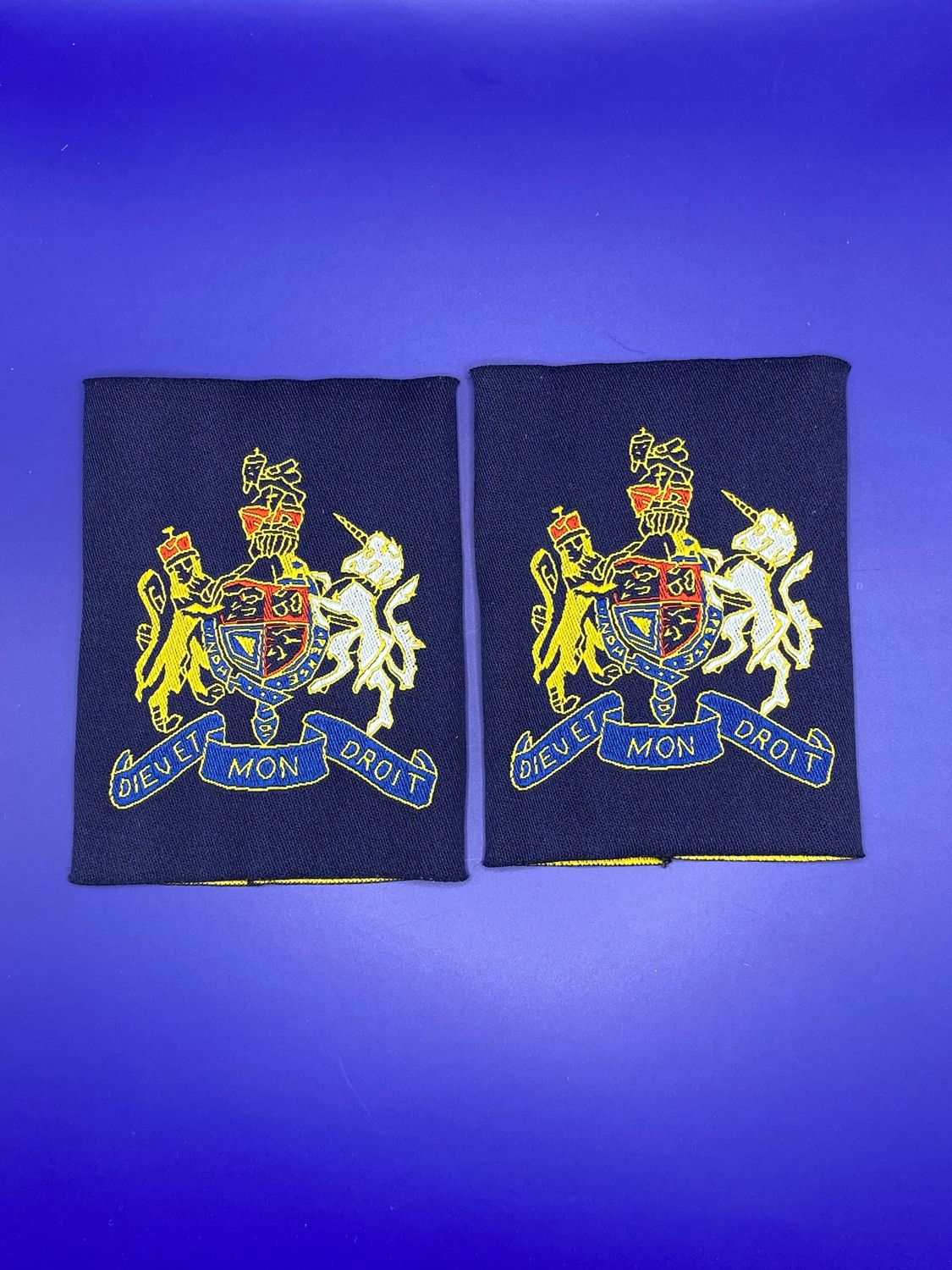 RAF Royal Air Force Warrant Officer (WO) Rank Slides (Pair)