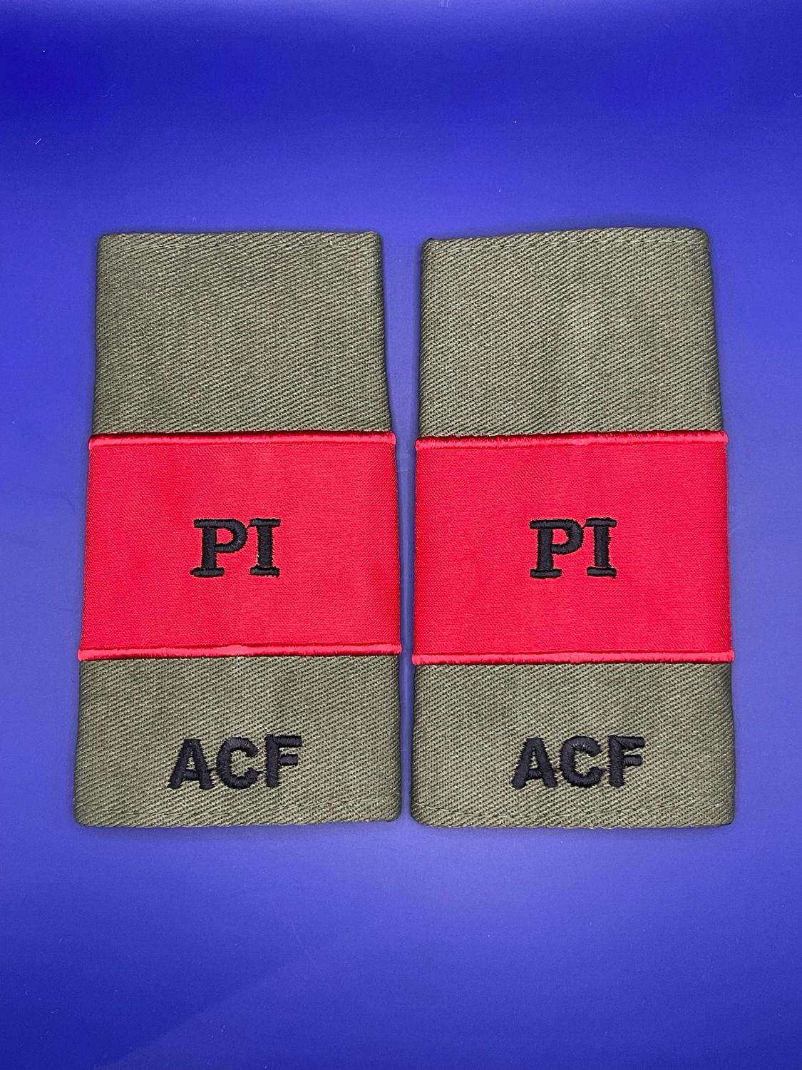 CIIIR Olive Green ACF Rank Slides - Potential Instructor Red PI