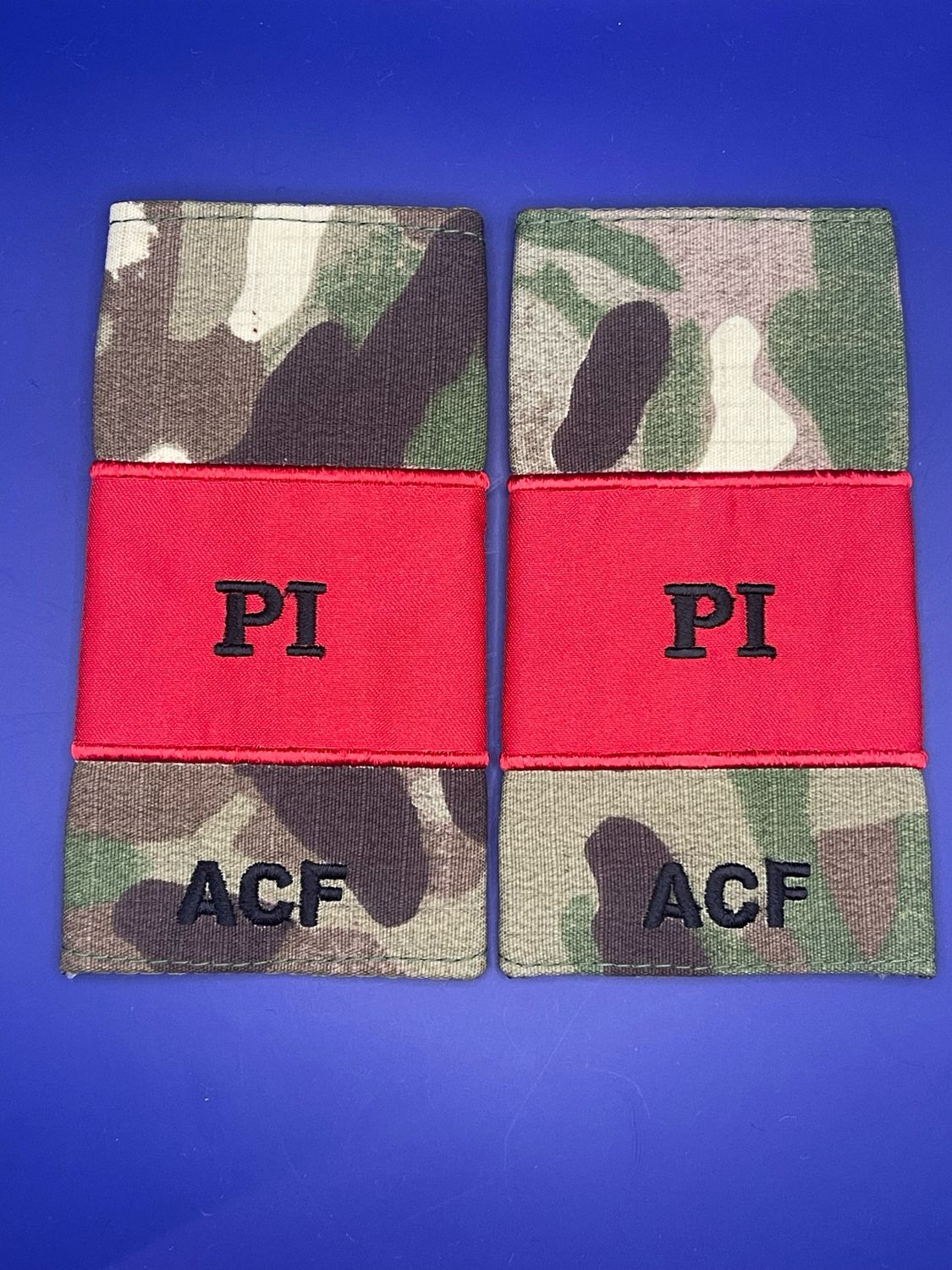 CIIIR MTP ACF Rank Slides - Potential Instructor PI Red