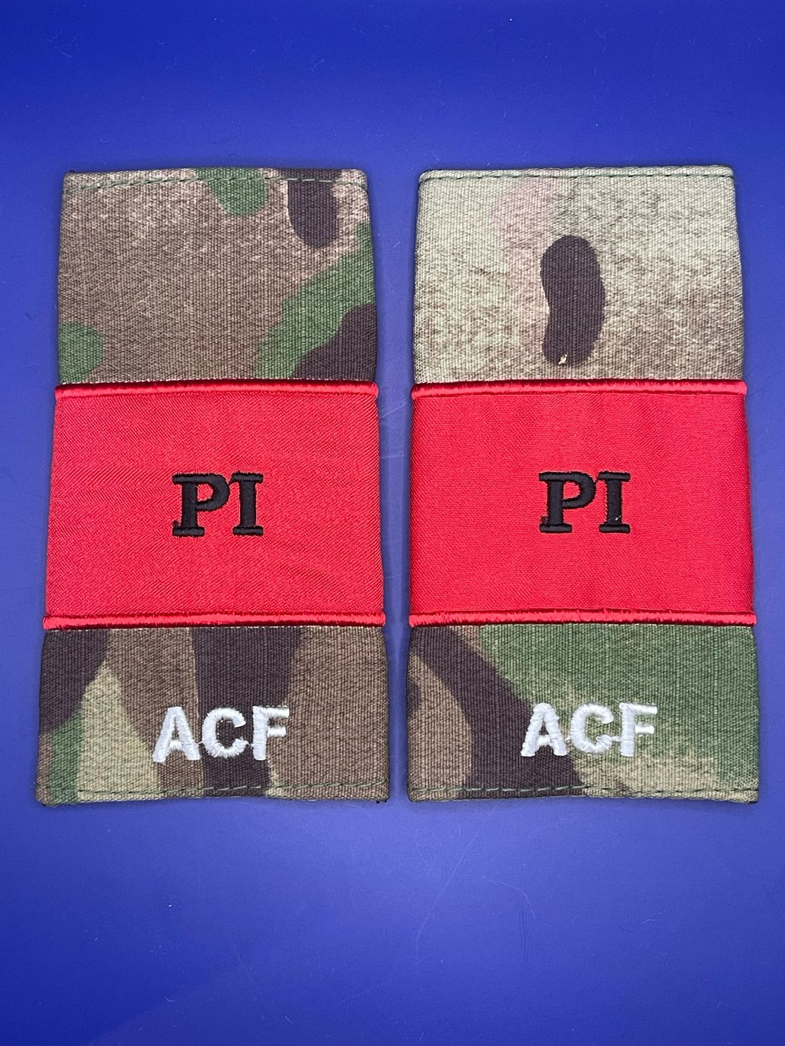 CIIIR MTP ACF Rank Slides - Potential Instructor PI Red