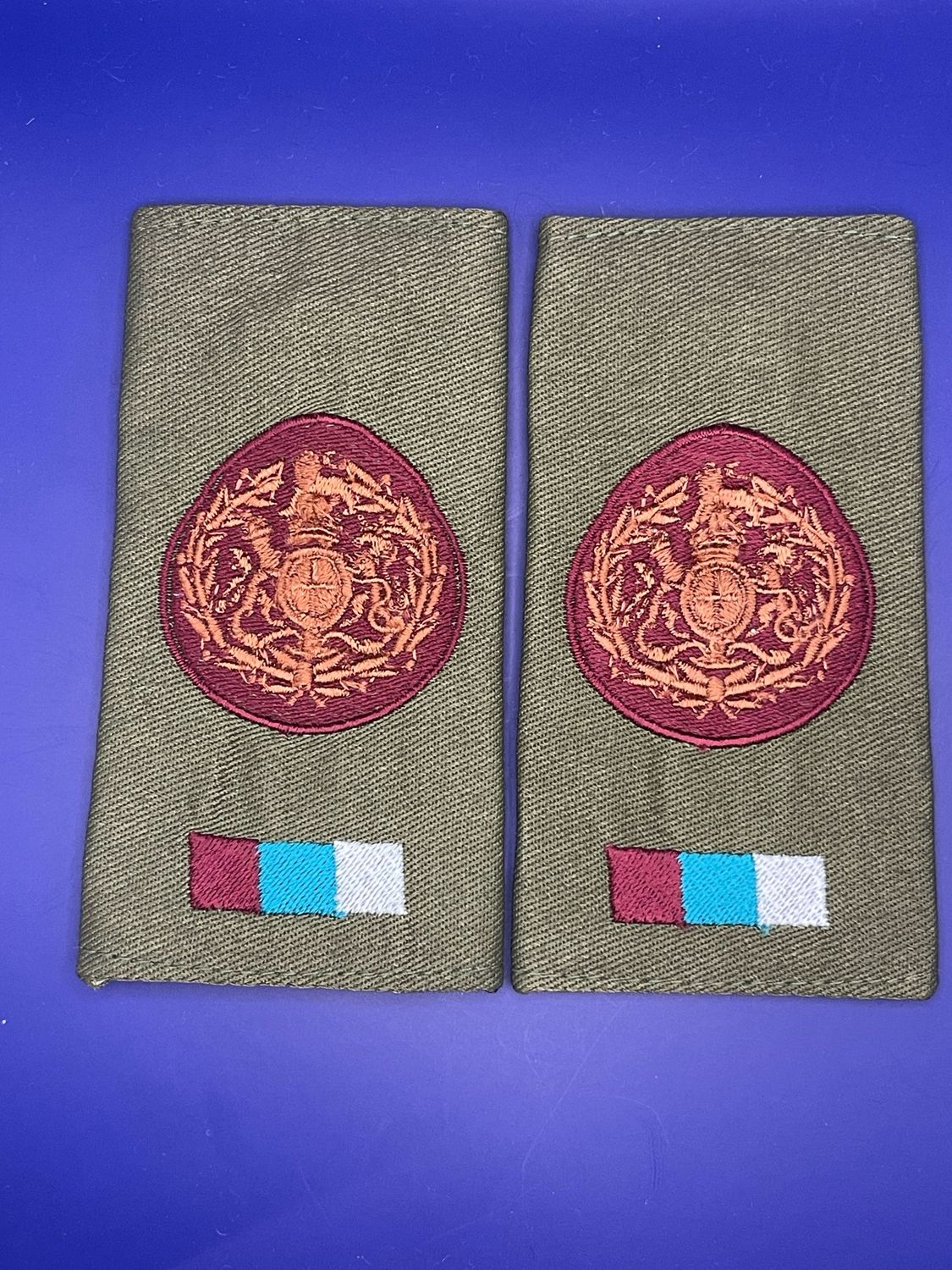 Royal Army Medical Service OG WO1 Corps Sergeant Major Rank Slides RAMS New Medic