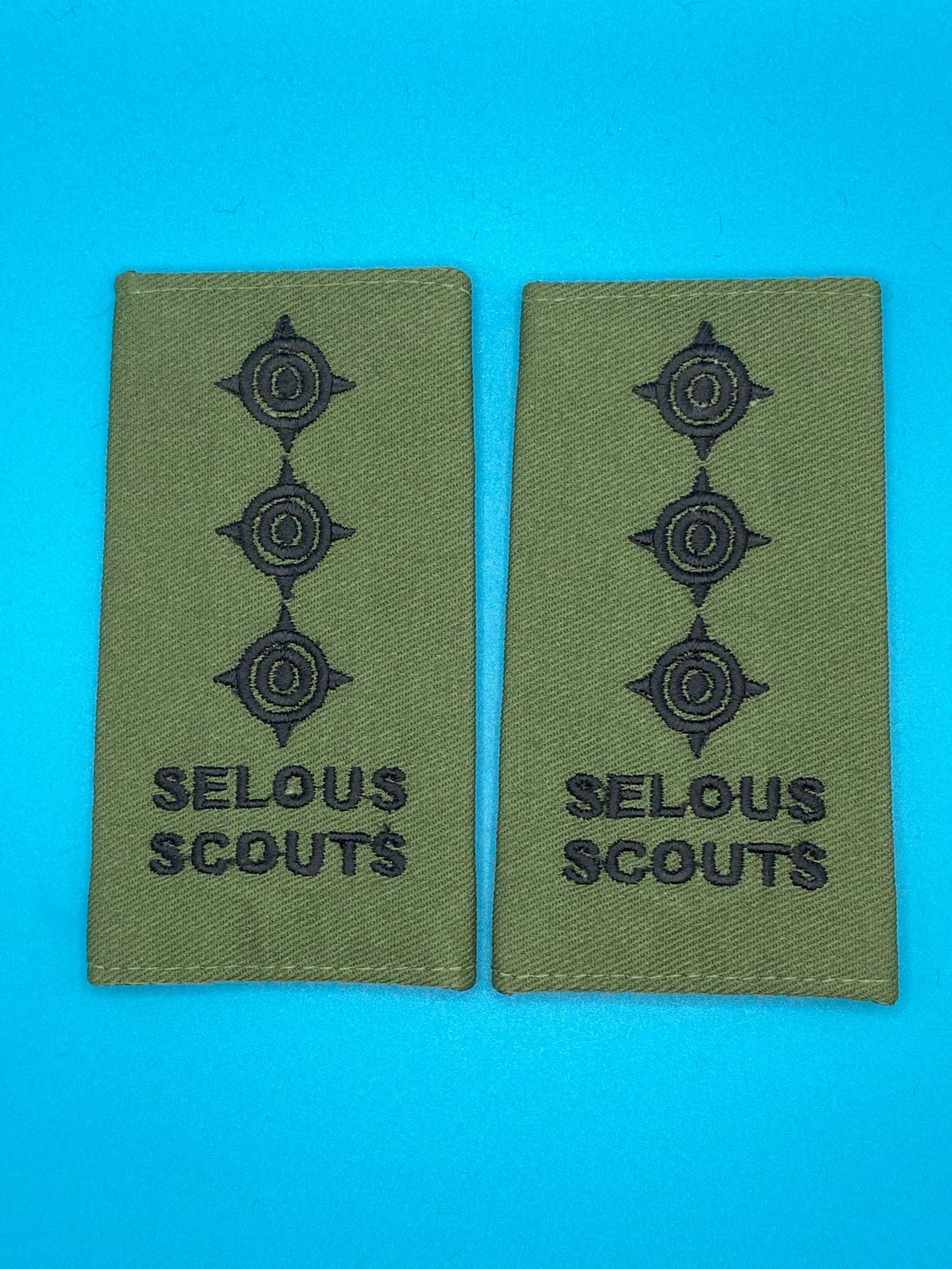Rhodesian Selous Scouts Olive Green Rank Slides OG - Capt Captain - Pair