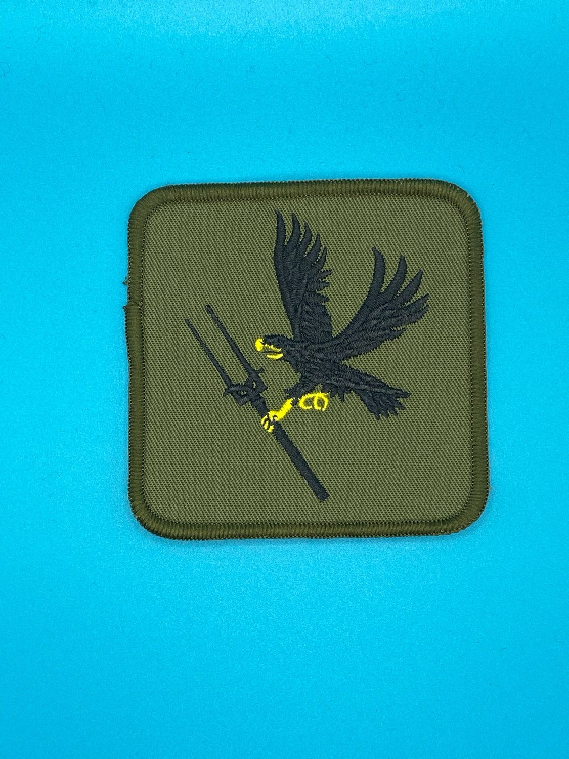 RAF Regiment Patch - 66 Squadron Patch Eagle