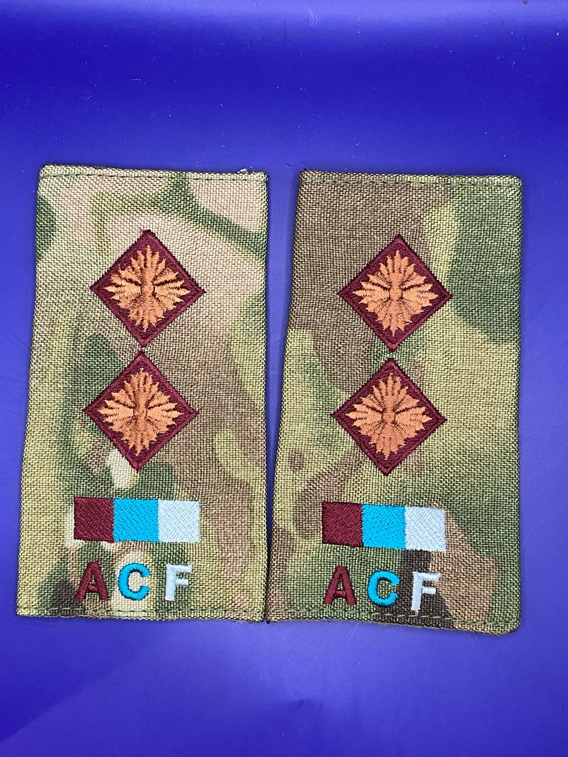 ACF CIIIR Royal Army Medical Service MTP Lieutenant Lt Rank Slides RAMS New Medic