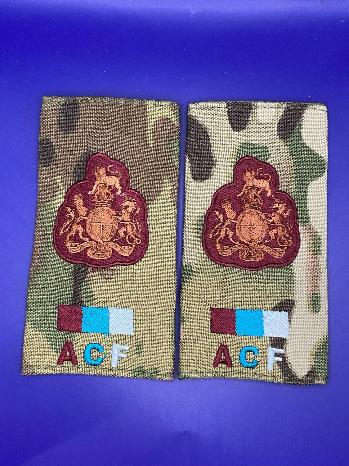 ACF CIIIR Royal Army Medical Service MTP WO1 RSM RSMI Rank Slides RAMS New Medic