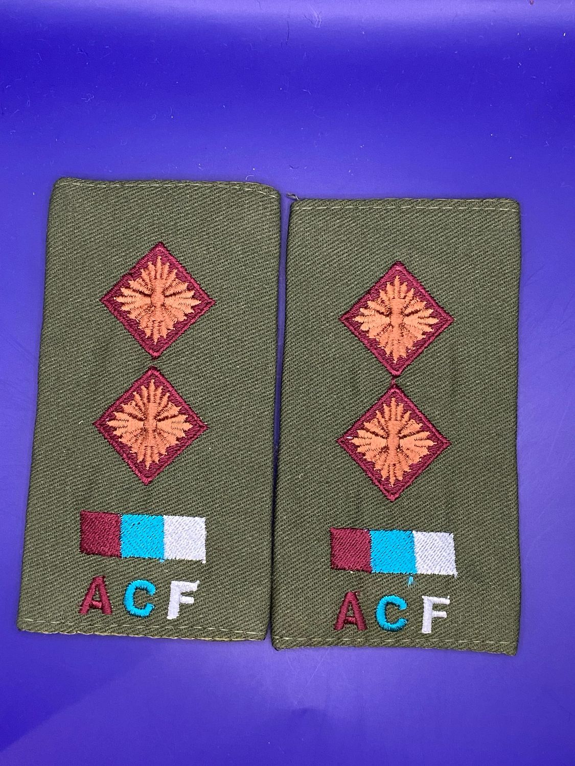 ACF CIIIR Royal Army Medical Service Olive Lieutenant Lt Rank Slides RAMS New Medic