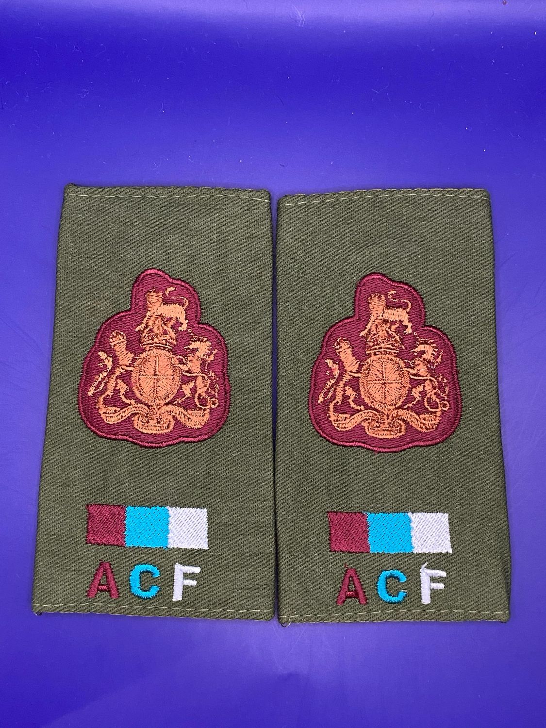 ACF CIIIR Royal Army Medical Service Olive WO1 RSM RSMI Rank Slides RAMS New Medic