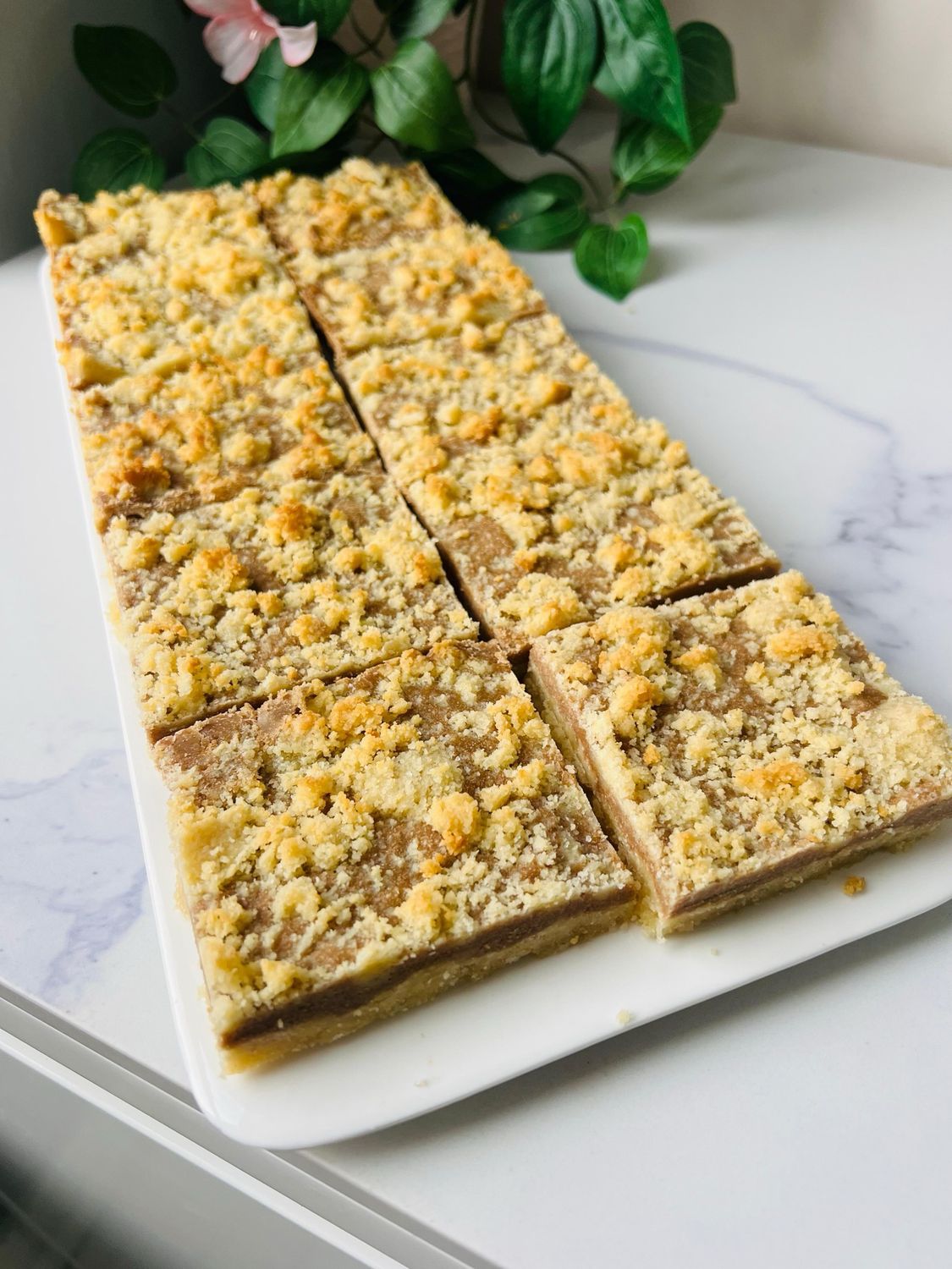 Salted Caramel Squares