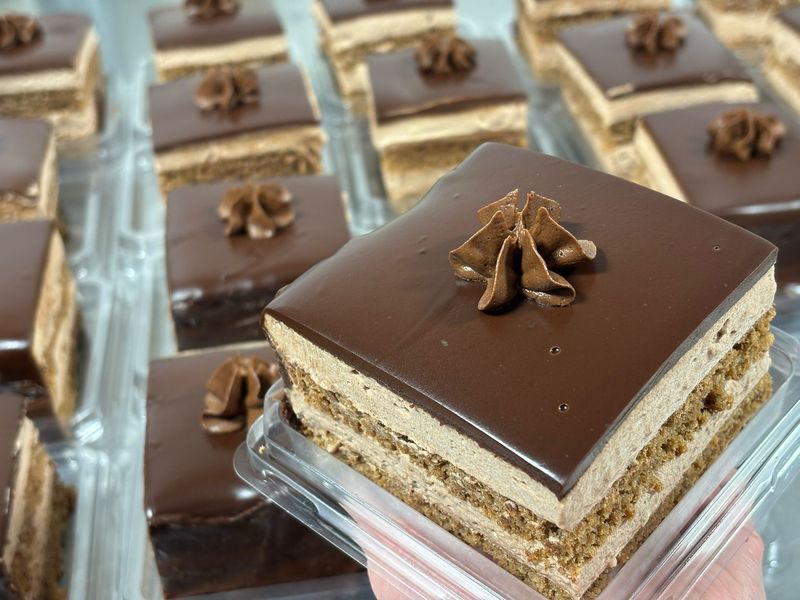 Chocolate cake squares