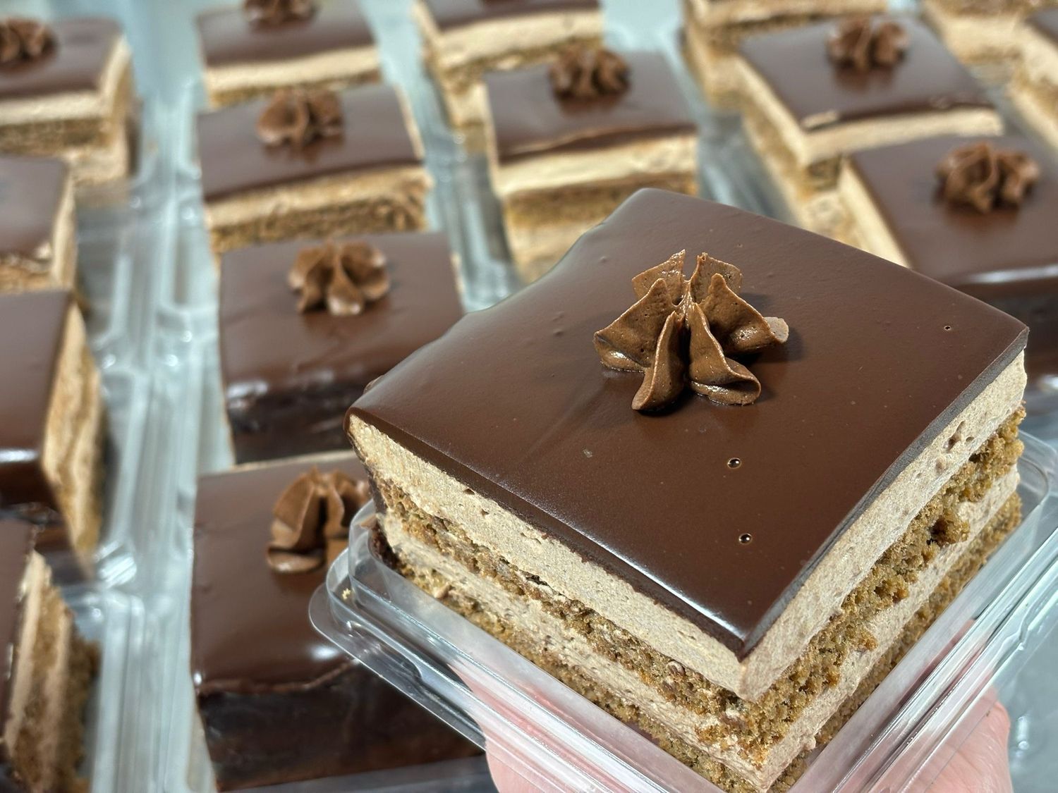 Chocolate cake squares