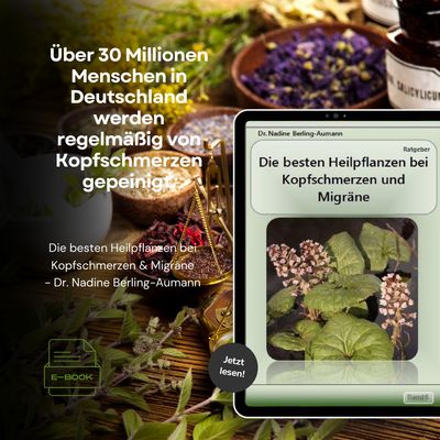 Die besten Heilpflanzen bei Kopfschmerzen Die besten Heilpflanzen bei Kopfschmerzen