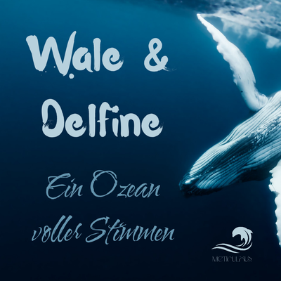Wale & Delfine - Ein Ozean voller Stimmen Wale & Delfine - Ein Ozean voller Stimmen