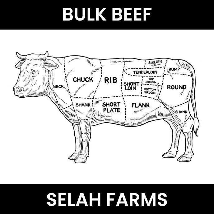 BULK BEEF