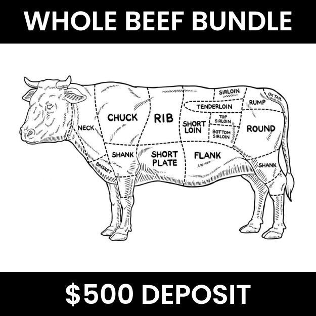 WHOLE BEEF DEPOSIT