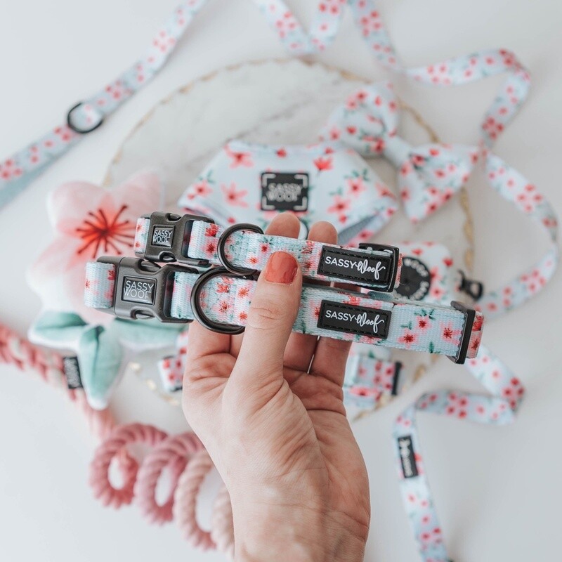 Dog Collar- Sakura