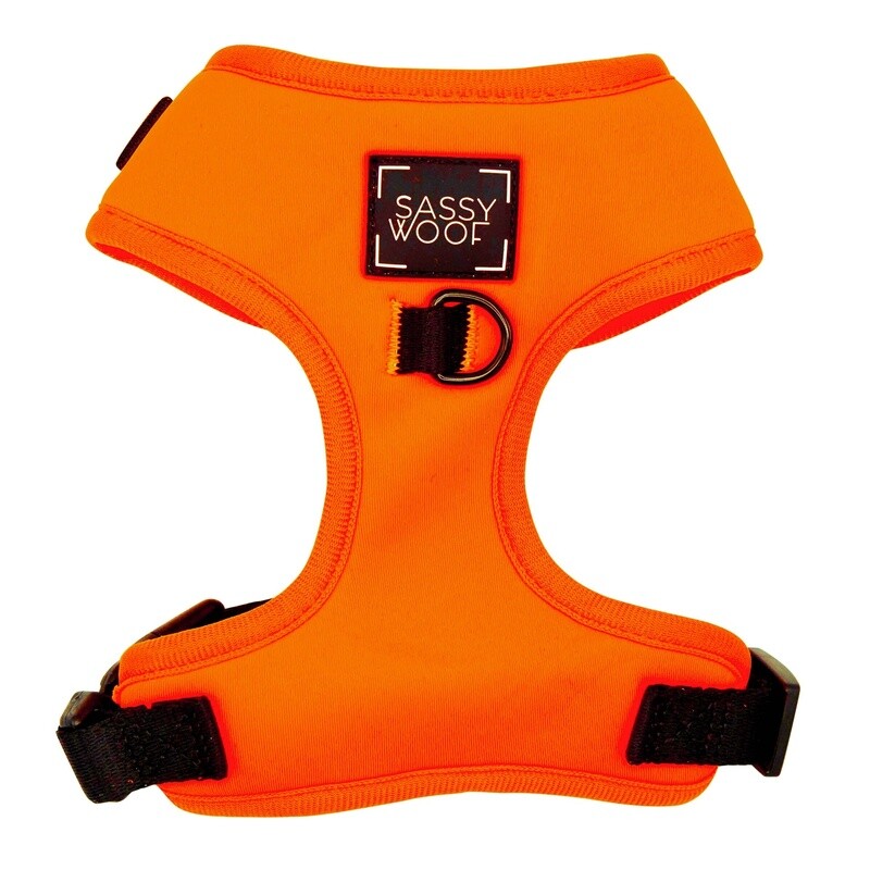 Adjustable Dog Harness- Neon Orange