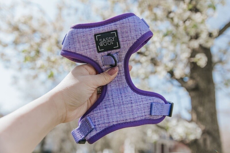 Dog Adjustable Harness- Aurora