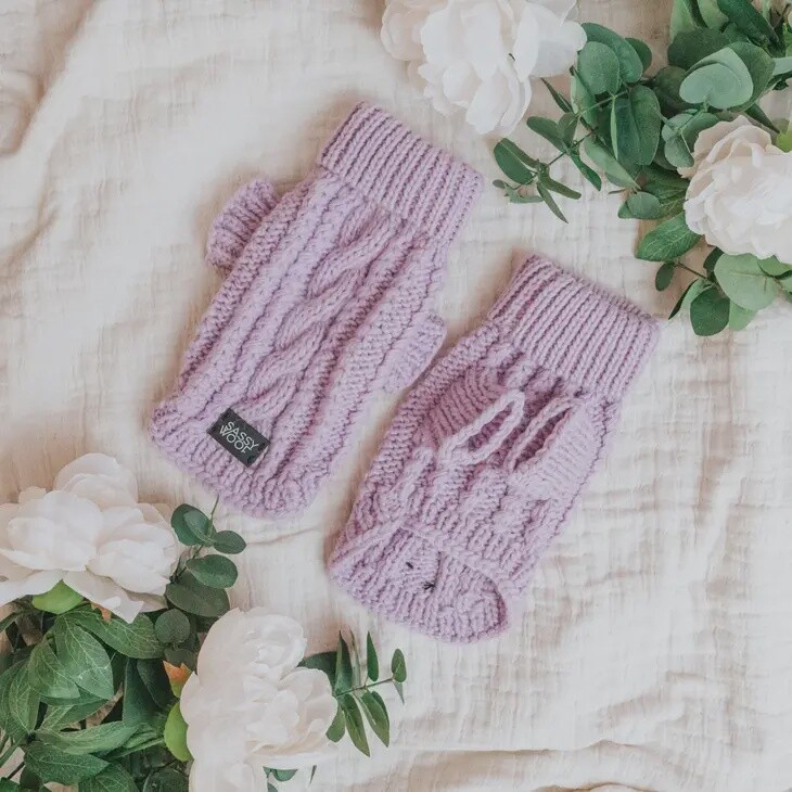 Cable Knit Dog Sweater