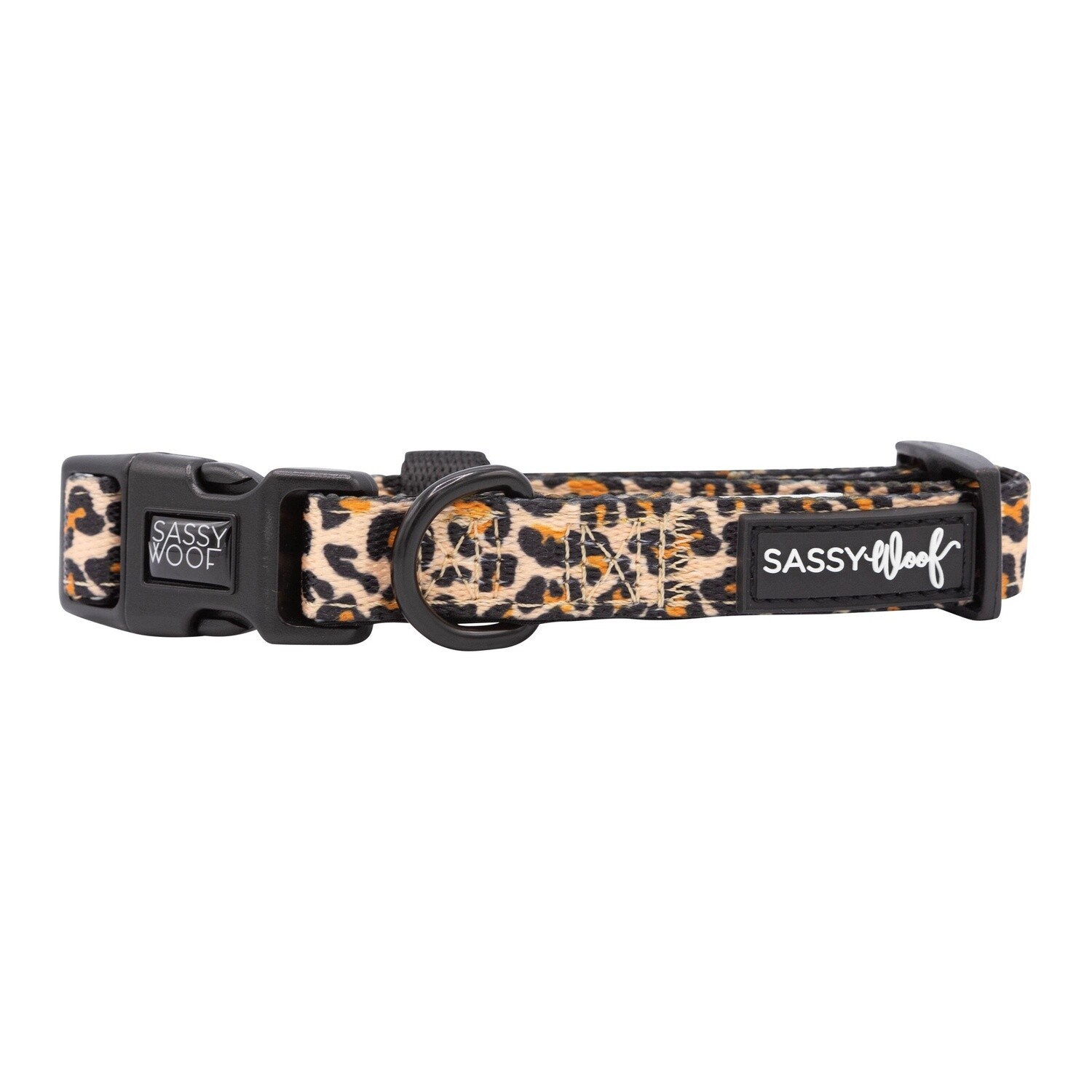 Sass Gone Wild Dog Collar