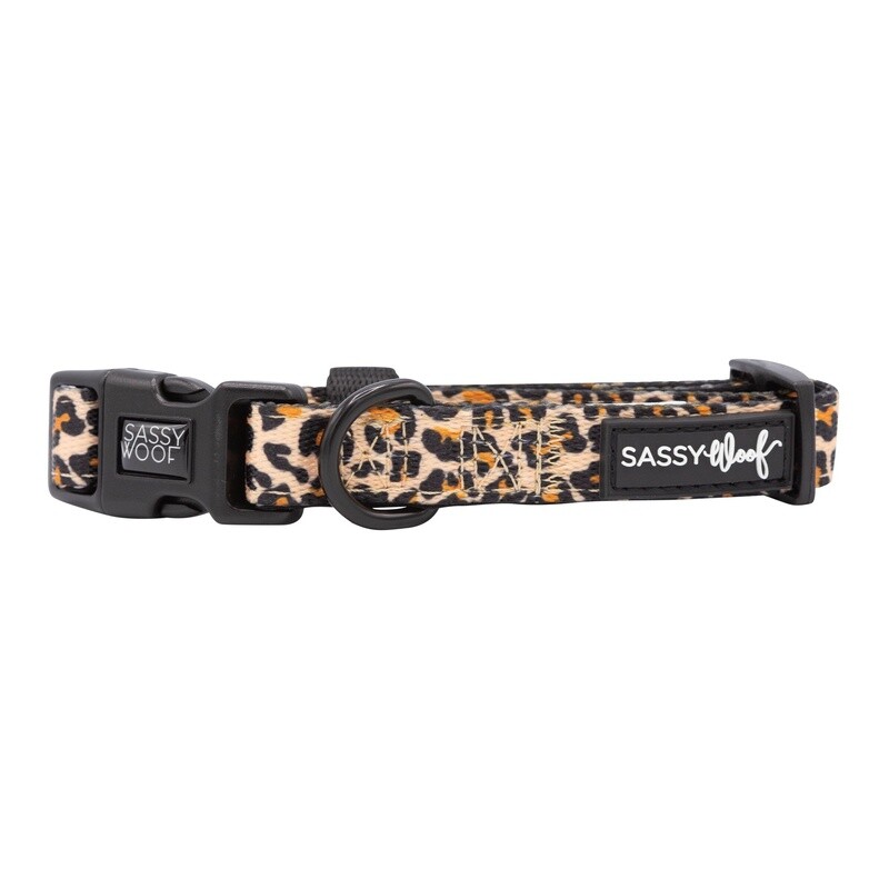 Sass Gone Wild Dog Collar