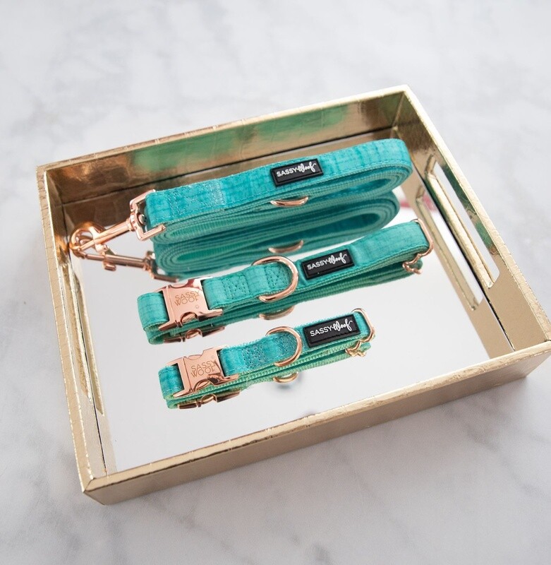 Dog Collar- Wag Your Teal