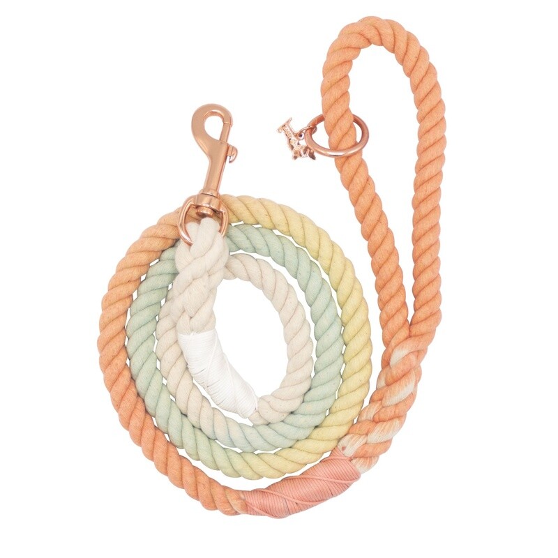 Dog Rope Leash- Honeydew
