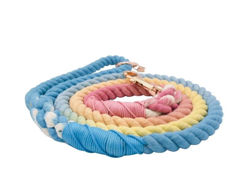 Dog Rope Leash- Bright