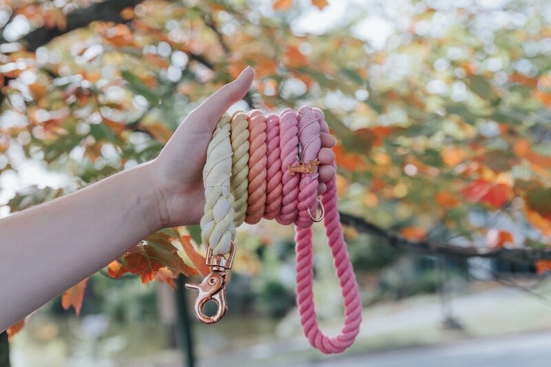 Dog Rope Leash- Sunkissed