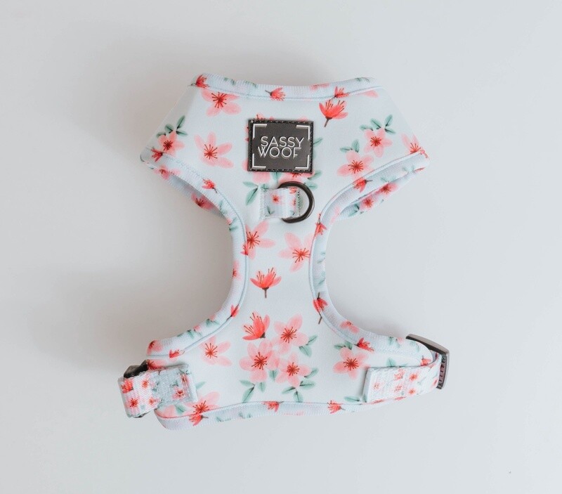 Adjustable Dog Harness- Sakura